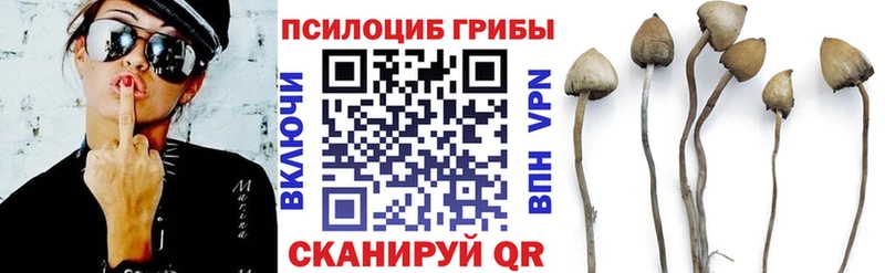 Псилоцибиновые грибы MAGIC MUSHROOMS  Харовск 